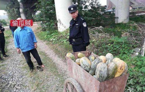 成县吃瓜网红事件始末视频,一场网络舆论的风暴与反思 第1张 成县吃瓜网红事件始末视频,一场网络舆论的风暴与反思 第1张